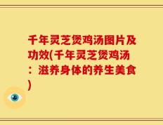 千年灵芝煲鸡汤图片及功效(千年灵芝煲鸡汤：滋养身体的养生美食)