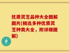 优质灵芝品种大全图解图片(精选多种优质灵芝种类大全，附详细图解)