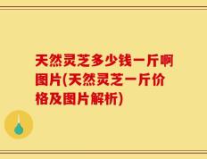 天然灵芝多少钱一斤啊图片(天然灵芝一斤价格及图片解析)