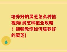 培养好的灵芝怎么种植视频(灵芝种植全攻略！视频教你如何培养好的灵芝)
