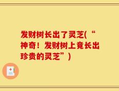 发财树长出了灵芝(“神奇！发财树上竟长出珍贵的灵芝”)