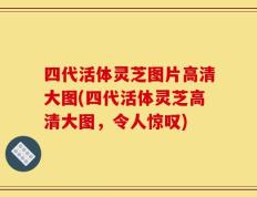 四代活体灵芝图片高清大图(四代活体灵芝高清大图，令人惊叹)