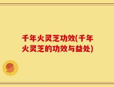 千年火灵芝功效(千年火灵芝的功效与益处)
