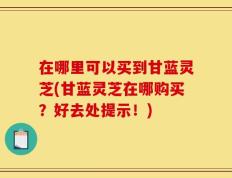 在哪里可以买到甘蓝灵芝(甘蓝灵芝在哪购买？好去处提示！)