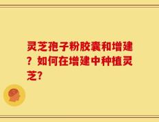 灵芝孢子粉胶囊和增建？如何在增建中种植灵芝？