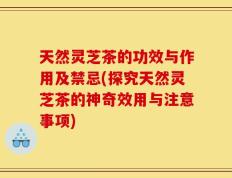 天然灵芝茶的功效与作用及禁忌(探究天然灵芝茶的神奇效用与注意事项)