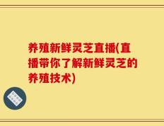 养殖新鲜灵芝直播(直播带你了解新鲜灵芝的养殖技术)