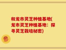 和龙市灵芝种植基地(龙市灵芝种植基地：探寻灵芝栽培秘密)