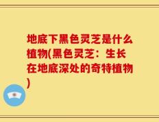 地底下黑色灵芝是什么植物(黑色灵芝：生长在地底深处的奇特植物)