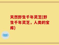 天然野生千年灵芝(野生千年灵芝，人类的宝库)
