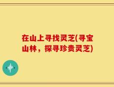 在山上寻找灵芝(寻宝山林，探寻珍贵灵芝)