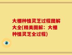 大棚种植灵芝过程图解大全(精美图解：大棚种植灵芝全过程)