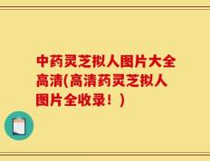 中药灵芝拟人图片大全高清(高清药灵芝拟人图片全收录！)