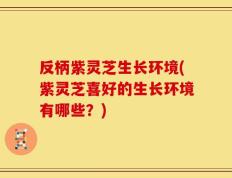 反柄紫灵芝生长环境(紫灵芝喜好的生长环境有哪些？)