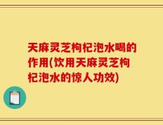 天麻灵芝枸杞泡水喝的作用(饮用天麻灵芝枸杞泡水的惊人功效)