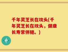 千年灵芝长在坟头(千年灵芝长在坟头，健康长寿常伴随。)