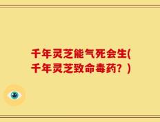 千年灵芝能气死会生(千年灵芝致命毒药？)
