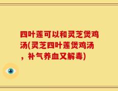 四叶莲可以和灵芝煲鸡汤(灵芝四叶莲煲鸡汤，补气养血又解毒)