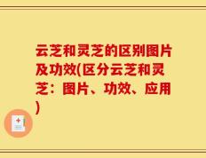云芝和灵芝的区别图片及功效(区分云芝和灵芝：图片、功效、应用)