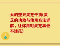 大的整只灵芝干货(灵芝的功效与使用方法详解，让你用对灵芝再也不迷茫)