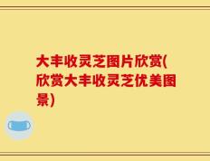 大丰收灵芝图片欣赏(欣赏大丰收灵芝优美图景)