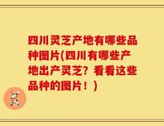 四川灵芝产地有哪些品种图片(四川有哪些产地出产灵芝？看看这些品种的图片！)