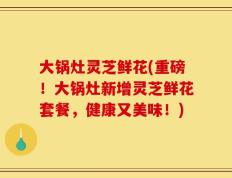 大锅灶灵芝鲜花(重磅！大锅灶新增灵芝鲜花套餐，健康又美味！)