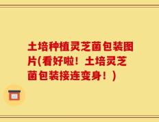 土培种植灵芝菌包装图片(看好啦！土培灵芝菌包装接连变身！)