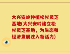 大兴安岭种植松杉灵芝基地(大兴安岭建立松杉灵芝基地，为生态和经济发展注入新活力)