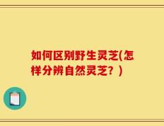 如何区别野生灵芝(怎样分辨自然灵芝？)