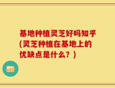 基地种植灵芝好吗知乎(灵芝种植在基地上的优缺点是什么？)