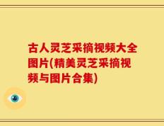 古人灵芝采摘视频大全图片(精美灵芝采摘视频与图片合集)