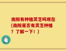 南阳有种植灵芝吗现在(南阳是否有灵芝种植？了解一下！)