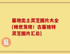 墓地出土灵芝图片大全(稀世发现！古墓独特灵芝图片汇总)