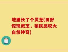 地里长了个灵芝(田野惊现灵芝，镇民感叹大自然神奇)