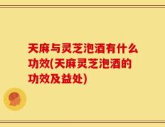 天麻与灵芝泡酒有什么功效(天麻灵芝泡酒的功效及益处)