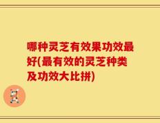 哪种灵芝有效果功效最好(最有效的灵芝种类及功效大比拼)