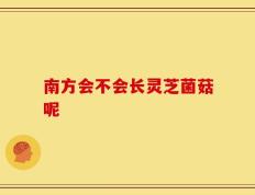 南方会不会长灵芝菌菇呢
