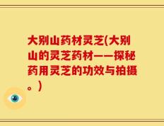 大别山药材灵芝(大别山的灵芝药材——探秘药用灵芝的功效与拍摄。)