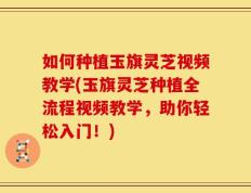 如何种植玉旗灵芝视频教学(玉旗灵芝种植全流程视频教学，助你轻松入门！)