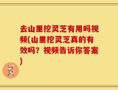 去山里挖灵芝有用吗视频(山里挖灵芝真的有效吗？视频告诉你答案)