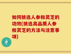 如何挑选人参和灵芝的功效(挑选高品质人参和灵芝的方法与注意事项)