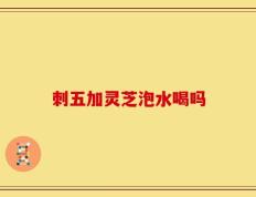 刺五加灵芝泡水喝吗