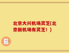 北京大兴机场灵芝(北京新机场有灵芝！)