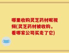 哪里收购灵芝药材呢视频(灵芝药材被收购，看哪家公司买走了它)