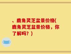 、鹿角灵芝盆景价格(鹿角灵芝盆景价格，你了解吗？)