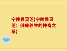 宁陵县灵芝(宁陵县灵芝：健康养生的神奇之草)