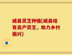 威县灵芝种植(威县培育高产灵芝，助力乡村振兴)