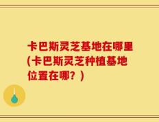 卡巴斯灵芝基地在哪里(卡巴斯灵芝种植基地位置在哪？)