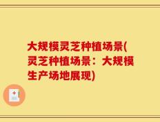 大规模灵芝种植场景(灵芝种植场景：大规模生产场地展现)